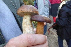 P1150112