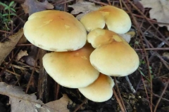 P1150140