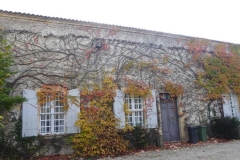 P1150156