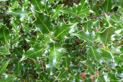 P1150174