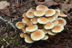 P1150179