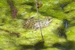 P1220112