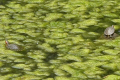 P1220113