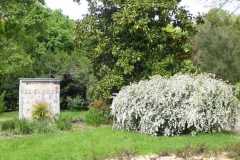 P1220116